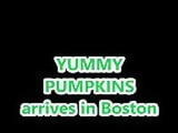 YUMMY PUMPKINS ARRIVES IN BOSTON